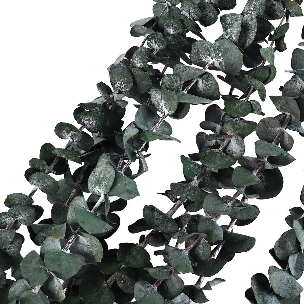 Eucalyptus Preserved - ใบยูคาลิปตัสแห้งแขวนตกแต่ง 10 ชิ้น ขนาดใหญ่ 22 นิ้ว