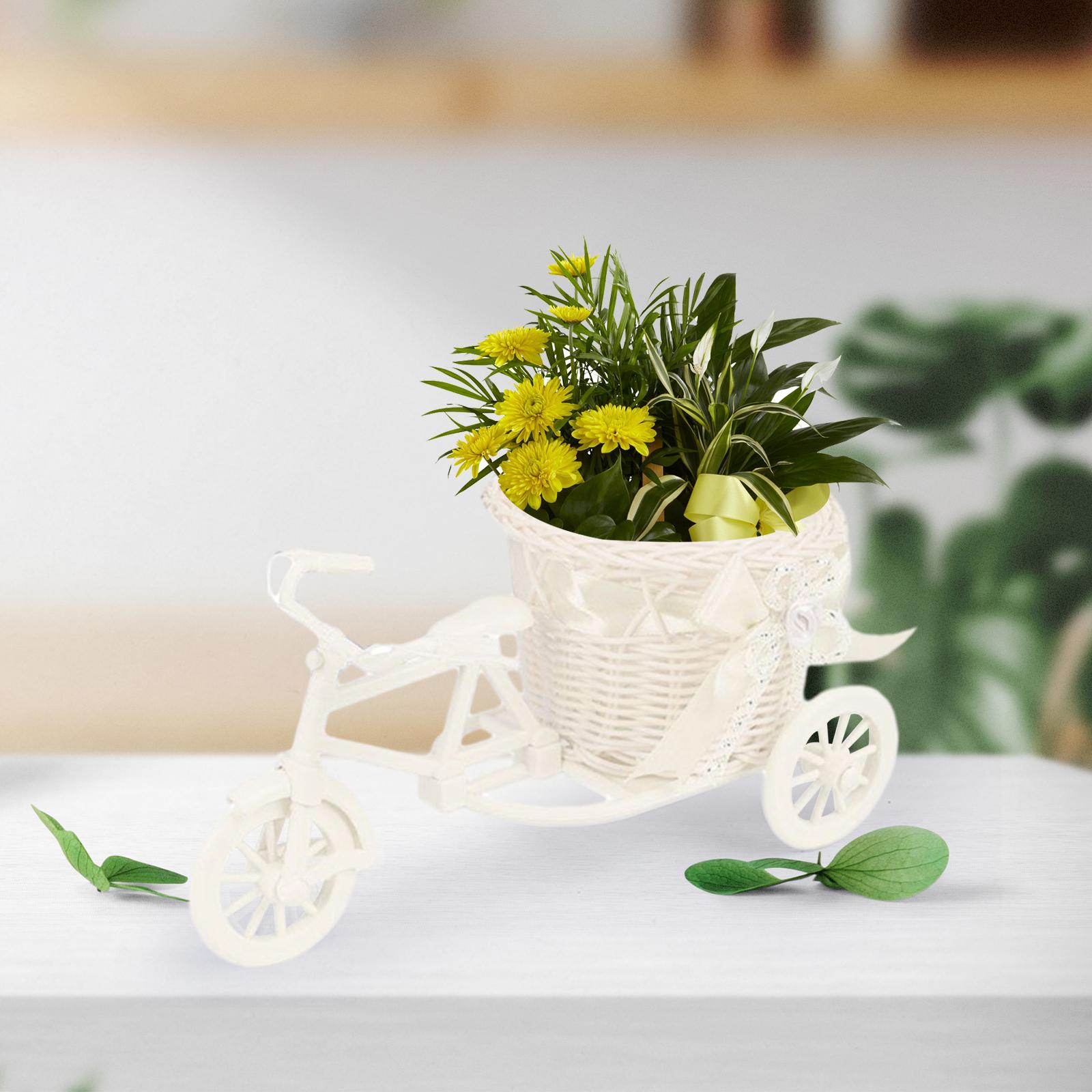 ตะกร้าดอกไม้ประดิษฐ์สำหรับจักร - Florist Supply Vases บทวิจารณ์และราคา