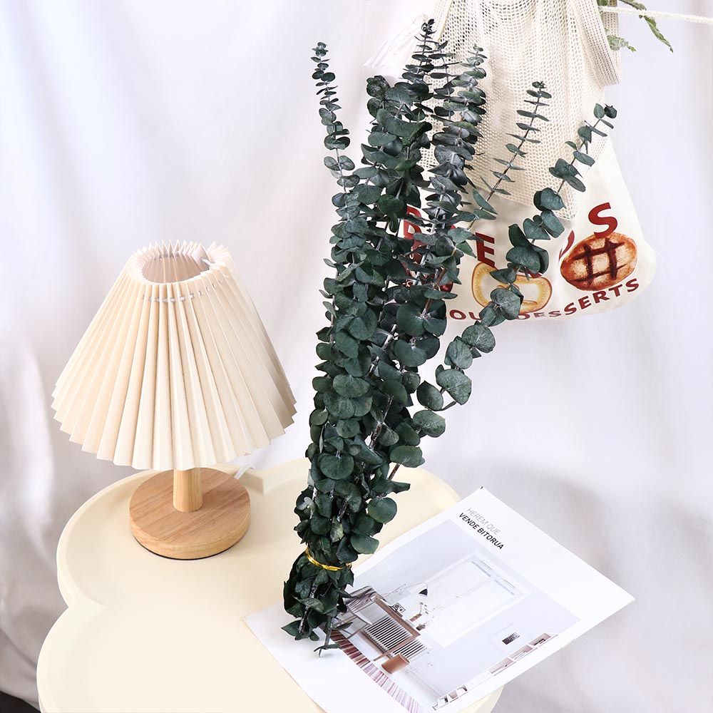 ใบยูคาลิปตัสแห้งแขวนตกแต่ง 10  - Eucalyptus Preserved บทวิจารณ์และราคา