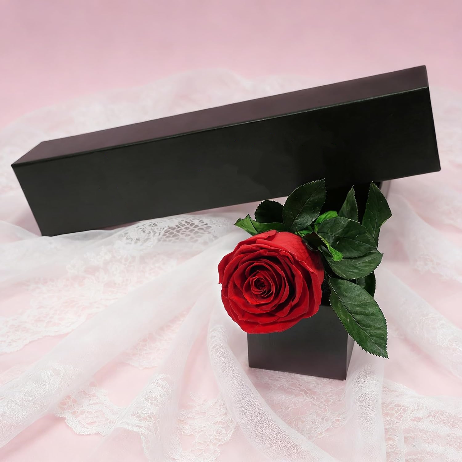 ดอกกุหลาบคงสภาพแบบก้านเดี่ยว ข - Florist Supply Bulk บทวิจารณ์และราคา